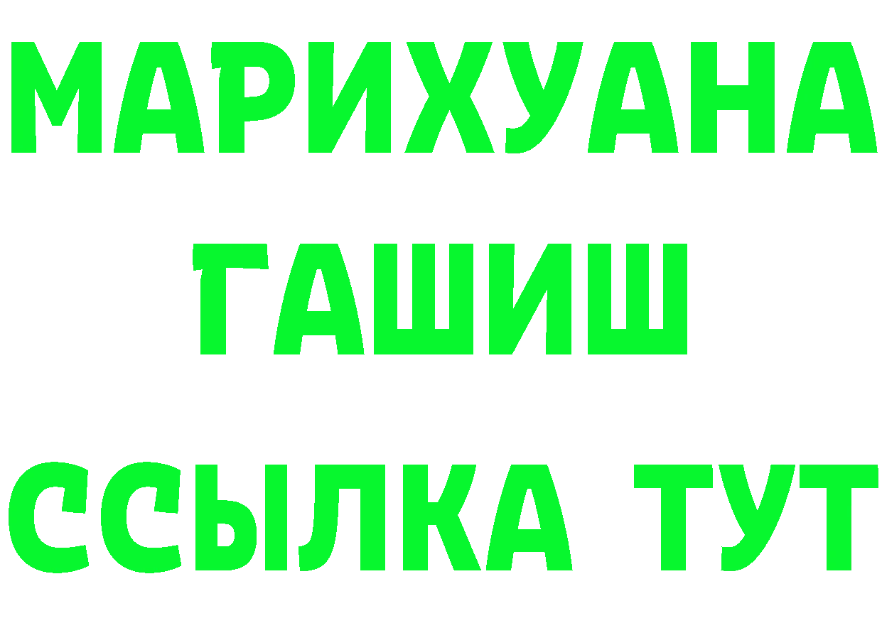 ГАШ Premium вход площадка гидра Шумиха